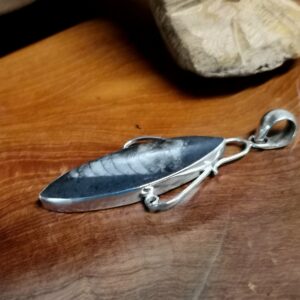 Pendentif '' Trilobite '' et Argent 925